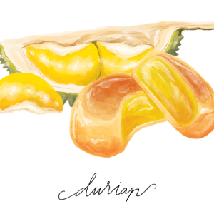 bakpia rasa durian