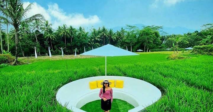 Menikmati Pemandangan Sawah Dari Svargabumi Borobudur