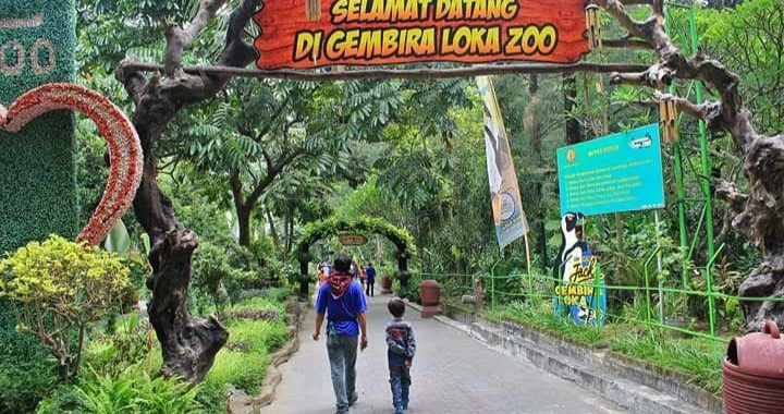 Bosan ke Pantai, Gembira Loka Zoo Yogyakarta Bisa jadi Alternatif Liburan Akhir Tahun