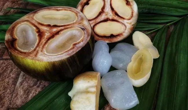 Minuman Legen : Permata Lokal untuk Batu Ginjal di Yogyakarta