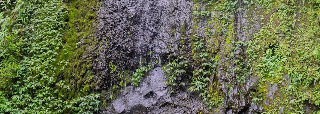 Mengunjungi Telogo Muncar : Tempat Mandi Bangsawan